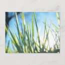 Search for sunlit postcards Floral