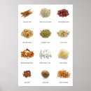 Search for herbs and spices posters Herbal