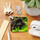 Search for reserved key rings Animals in the wild