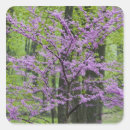 Search for spring tree stickers Landscape