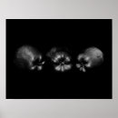 Search for apples art Funny