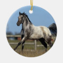 Search for appaloosa horse christmas tree decorations Equestrian