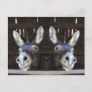 Search for mirror image postcards Reflection