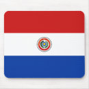 Search for paraguay electronics Flag