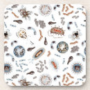 Search for bacteria barware Lab