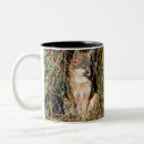 Search for grey fox mugs Wildlife