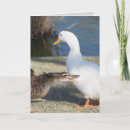 Search for duck fathers day cards Dad