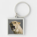 Search for aggressive key rings Anger