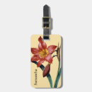 Search for amaryllis accessories Joseph