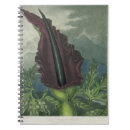 Search for engraved notebooks After