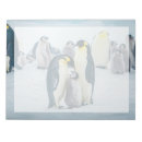 Search for baby notepads Penguin
