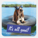 Search for dog swimming stickers Joke