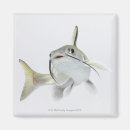 Search for catfishing magnets Animal