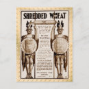 Search for whole postcards Food