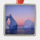 Search for greenland christmas tree decorations Ice