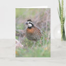 Search for picnic party cards Happy