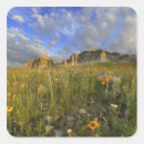 Search for flora stickers Beautiful