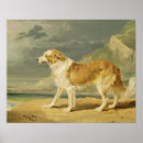 Search for roughing it posters Dogs