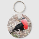 Search for mate key rings Photography