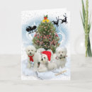 Search for bichon christmas cards Merry