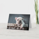 Search for purebred cards Cute