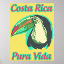 Search for pura vida posters Toucan