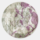 Search for insect silhouette stickers Butterflies