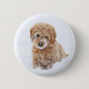 Search for goldendoodle badges Pet