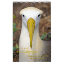 Search for galapagos calendars Ecuador