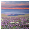 Search for jaynes gallery tiles Twilight