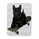 Search for scottish terrier magnets Black dog