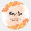 Search for orange slice stickers Summer