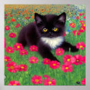Search for tuxedo cat posters Black and white cat
