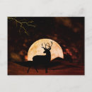 Search for buck silhouette postcards Deer