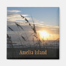Search for amelia magnets Island