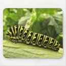 Search for caterpillar mouse mats Butterflies