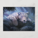 Search for forest leopard postcards Tropical