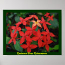 Search for uniqueness posters Flowers