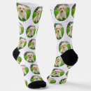 Search for pet photo socks Cute