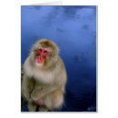Search for snow monkey Onsen
