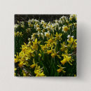Search for daffodil square badges Yellow