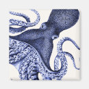 Search for silly square magnets Octopus