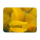 Search for poppies magnets Nature