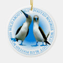 Search for galapagos islands christmas tree decorations South america