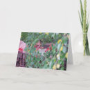 Search for habitat cards Landscape
