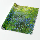 Search for wild flowers wrapping paper Botanical