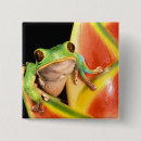 Search for tree frog badges Green