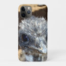 Search for chick cases Wildlife