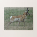 Search for americana puzzles Antelope