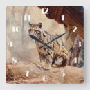 Search for wildlife clocks Photograph